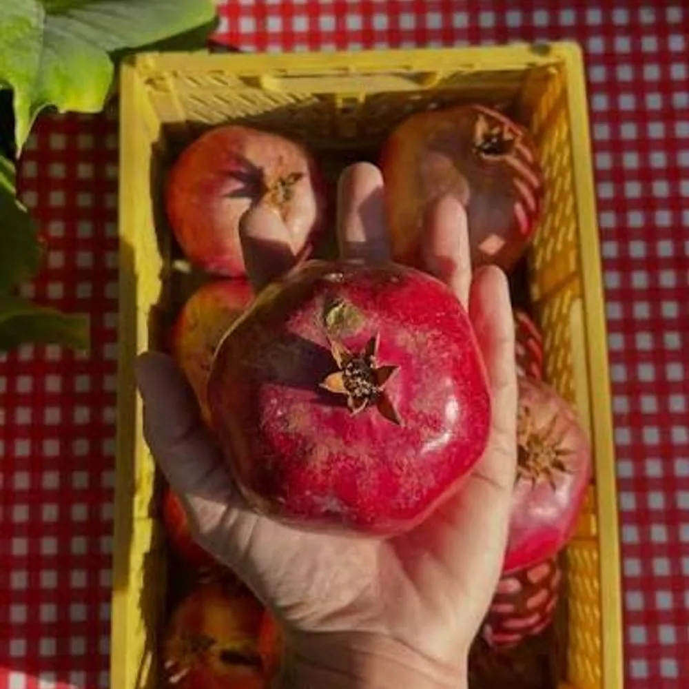 Pomegranates